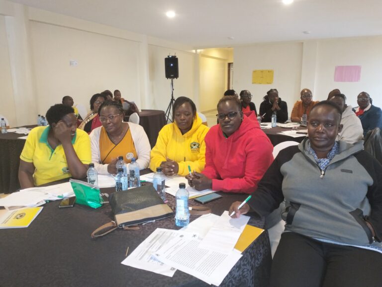 KUPPET Workshops